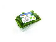 Warzywa świeże i suszone - VIVIO Rukola Świeża Niemyta BIO (około 0,10 kg) - miniaturka - grafika 1