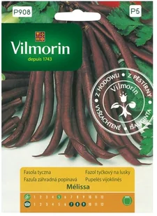 Vilmorin Nasiona fasola szparagowa fioletowa Melissa - Nasiona i cebule - miniaturka - grafika 1