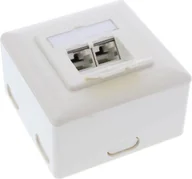 Wtyczki i adaptery - InLine InLine Gniazdo Cat.6A Ścienne 2x RJ45 biały 76842S - miniaturka - grafika 1