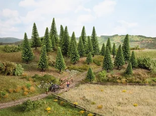 NOCH Drzewa iglaste 5-14cm / 50szt. 26821 - Kolejki i akcesoria - miniaturka - grafika 1