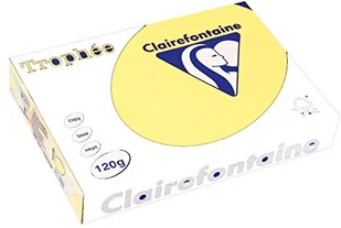 Clairefontaine papier 1207 °C A4 GB ve250 1207C - Papier do drukarek - miniaturka - grafika 1