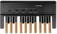 Odtwarzacze dla DJ - Studiologic Studiologic Midi Pedalboard MP117 - miniaturka - grafika 1