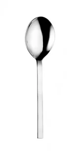 Eternum Łyżka do serwowania 248 mm | Galaxy ET-1720-12 - Wyposażenie lokali gastronomicznych - miniaturka - grafika 1