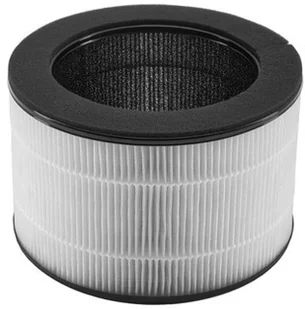TROTEC Filtr HEPA do AirgoClean 11 E - Filtry wentylacyjne i uzdatniacze - miniaturka - grafika 1