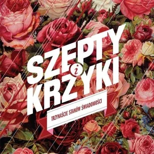 Requiem Records Trzynaście stanów świadomości - Muzyka relaksacyjna - miniaturka - grafika 1