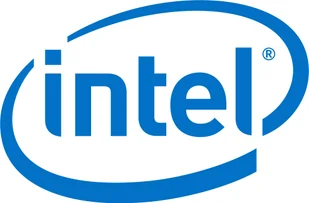 Intel X550-T2 Dual Port 10GBase-T Adapter (00MM860) - Akcesoria do serwerów - miniaturka - grafika 2