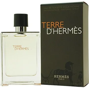 Hermes Terre dhermes EDT vaporizador 100 ML 18680 - Pozostałe kosmetyki - miniaturka - grafika 1