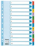 Przekładki do segregatorów - Esselte PRZEKŁADKI KARTONOWE MYLAR A4 1-12 - miniaturka - grafika 1