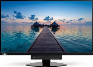 Lenovo ThinkCentre TIO24Gen4 Czarny (11GDPAT1EU) - Monitory - miniaturka - grafika 1