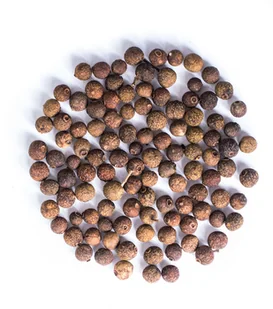 Planteon Ziele angielskie ziarno 1kg 2-0041-04-1 - Przyprawy i zioła sypkie - miniaturka - grafika 1