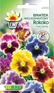 Nasiona i cebule - Toraf KWIATY Bratek wielkokwiatowy Rokoko 0,2g 00353 - miniaturka - grafika 1