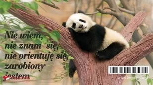 Bogulandia Magnes na lodówkę Nie wiem, nie znam się - Powieści - miniaturka - grafika 1