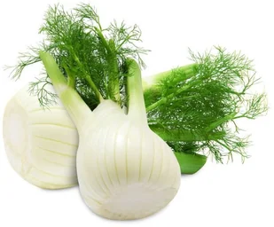 ŚWIEŻE KOPER WŁOSKI ŚWIEŻY (FENKUŁ) BIO (około 0,45 kg) - Warzywa świeże i suszone - miniaturka - grafika 1