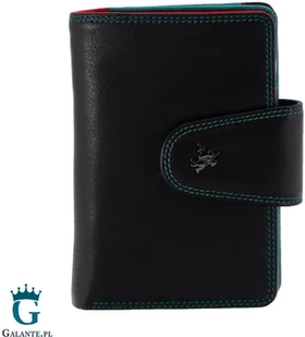 Visconti Kolorowy portfel damski SP-31 RFID SP-31 - Portfele - miniaturka - grafika 5