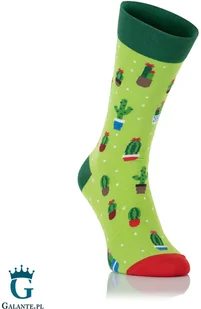 Nanushki Kolorowe skarpetki męskie Kaktus Sockulent - Skarpetki męskie - miniaturka - grafika 2