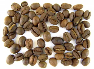 Kawa PAPUA NOWA GWINEA 1 kg - Kawa - miniaturka - grafika 1