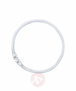 Osram Świetlówka kołowa 2Gx13 LUMILUX T5 40W 830 - Świetlówki - miniaturka - grafika 1