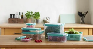 Plast Team POJEMNIK NA ŻYWNOŚĆ COPENHAGEN 190 ML 5210 - Pojemniki kuchenne - miniaturka - grafika 2