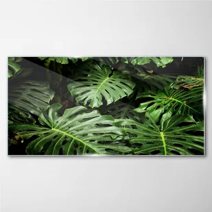 PL Coloray Obraz na Szkle Roślin Liście 100x50cm - Obrazy i zdjęcia na płótnie - miniaturka - grafika 1
