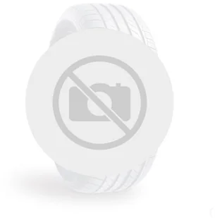 Fortuna GOWIN UHP 195/55R15 85H - Opony zimowe - miniaturka - grafika 1