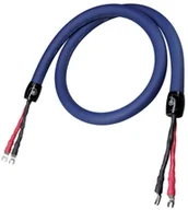 Kable - Cardas Audio Clear Beyond Speaker Kabel głośnikowy 2.5m - miniaturka - grafika 1