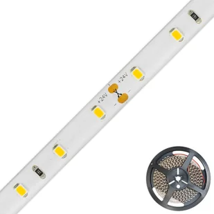 EVN EVN STR2024 taśma LED IP20 5m 24W 2 700 K - Taśmy LED - miniaturka - grafika 1