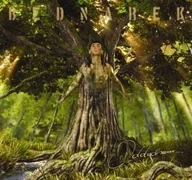 Reggae - Bednarek Oddycham - miniaturka - grafika 1