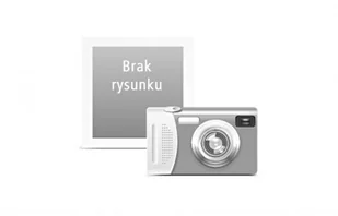 Panasonic pilot do PT-VW430E 6451053893 - Akcesoria do projektorów - miniaturka - grafika 1